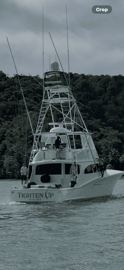 img-6870.png